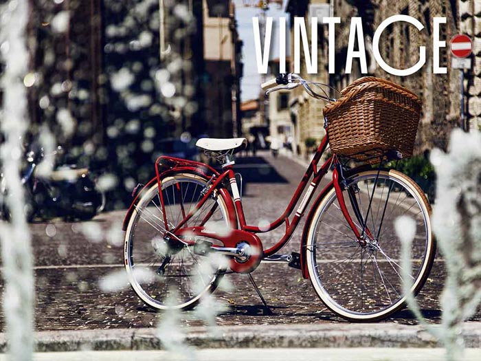 danish biciclette vintage