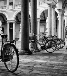 Biciclette vintage da città stile e funzionalità