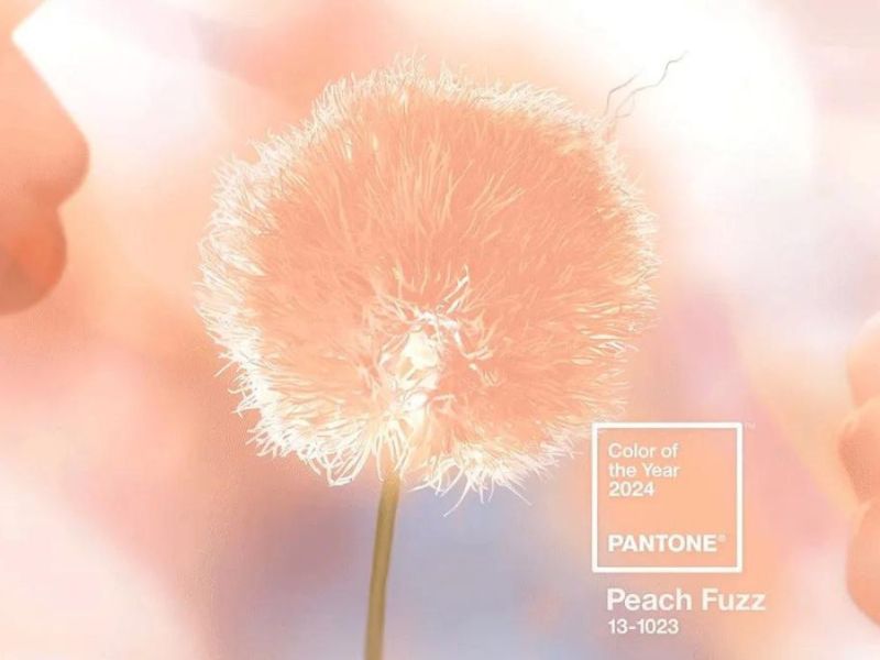 peach fuzz pantone 2024